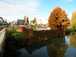  couleurs d'automne